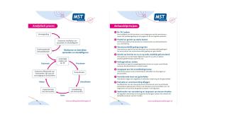 MST behandelprincipes en analystisch proces